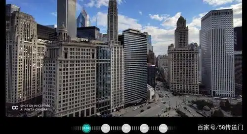 以上几张照片为1亿像素所拍摄的动植物,不管是蚂蚁的腿还是花卉都清晰