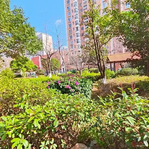 铁合金怡芳苑小区二期