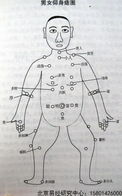 男女全身痣相看命运(大图)