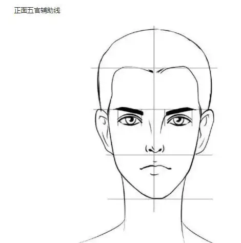 基础教程人物五官基本比例及正面画法
