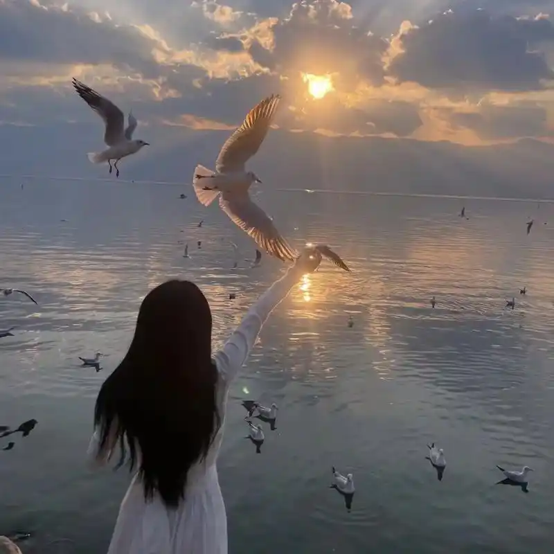 真人女头旅拍头像背影女头氛围感女头