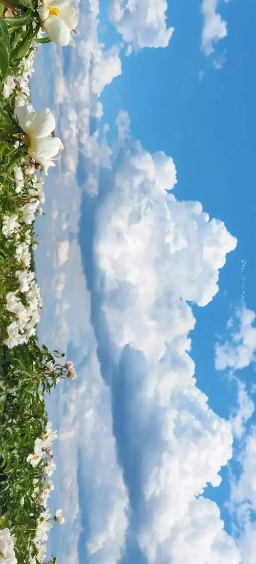 "坠入宫崎骏的夏天 云朵可爱 你也温柔"#治愈系风景 - 抖音