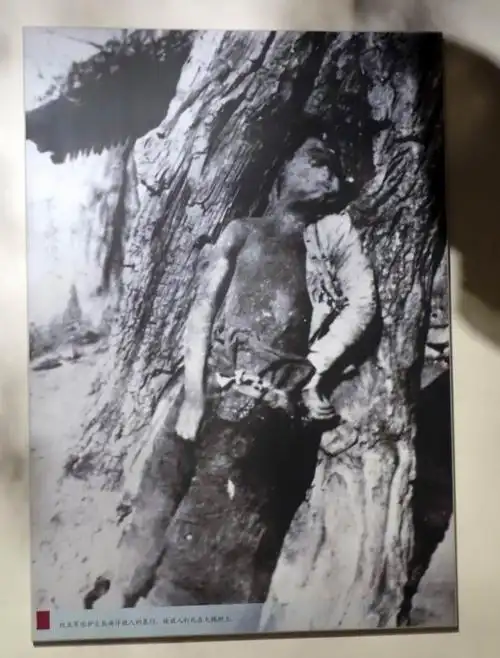 这是被敌人绑在树上剖腹的西路军女护士照片被俘人员坚持斗争武威关押