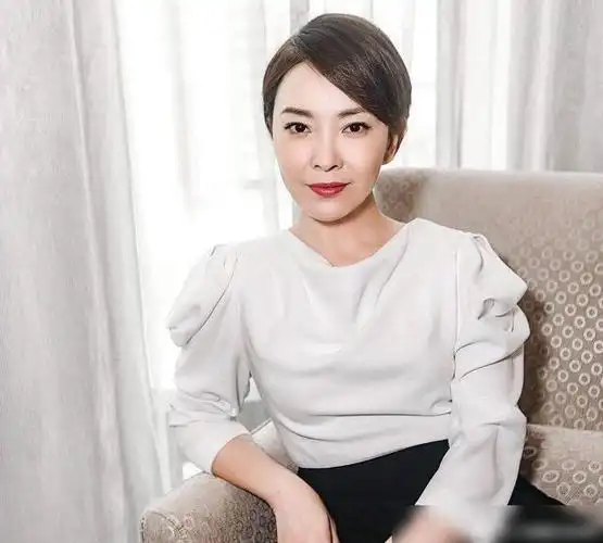 她是张嘉译的前妻两人因性格而离婚如今再婚富豪