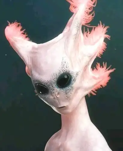 本宇宙的外星人都来打卡啦!——外星人形象猜想之6其他类～444999