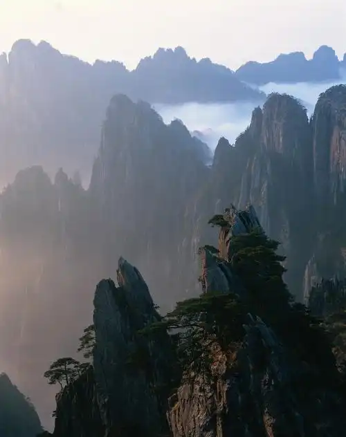 很漂亮的静态图片