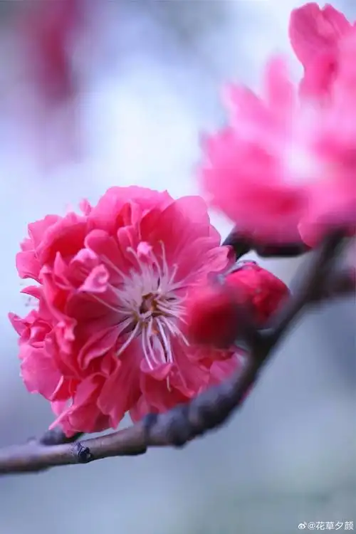 690_1035竖版 竖屏