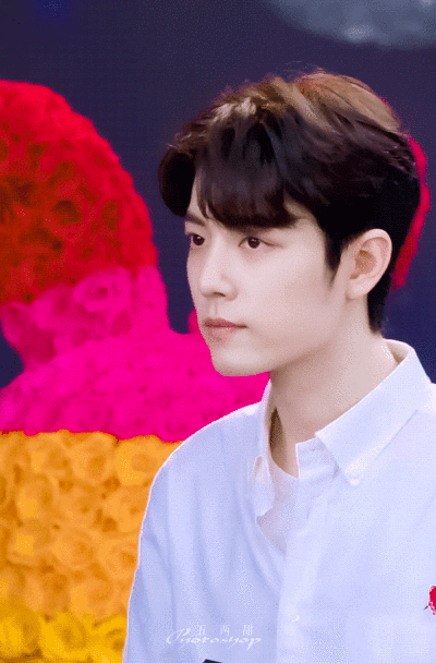 肖战 玫瑰动图表情包