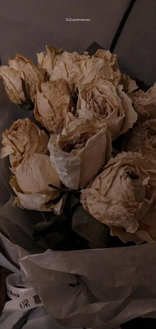 690_1455竖版 竖屏