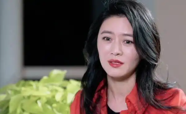 田海蓉:我是借陆毅炒作也罢,说我死缠烂打也好,过去的就过去了|鲍蕾