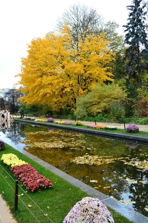 在花园里明亮的秋天景色