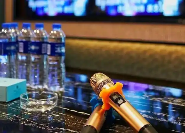 什么样的中年人把ktv当钟点房