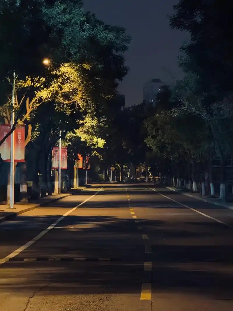 dna动了…空无一人的学校,散步,宽敞的街道 黄色的路灯,寂 - 抖音