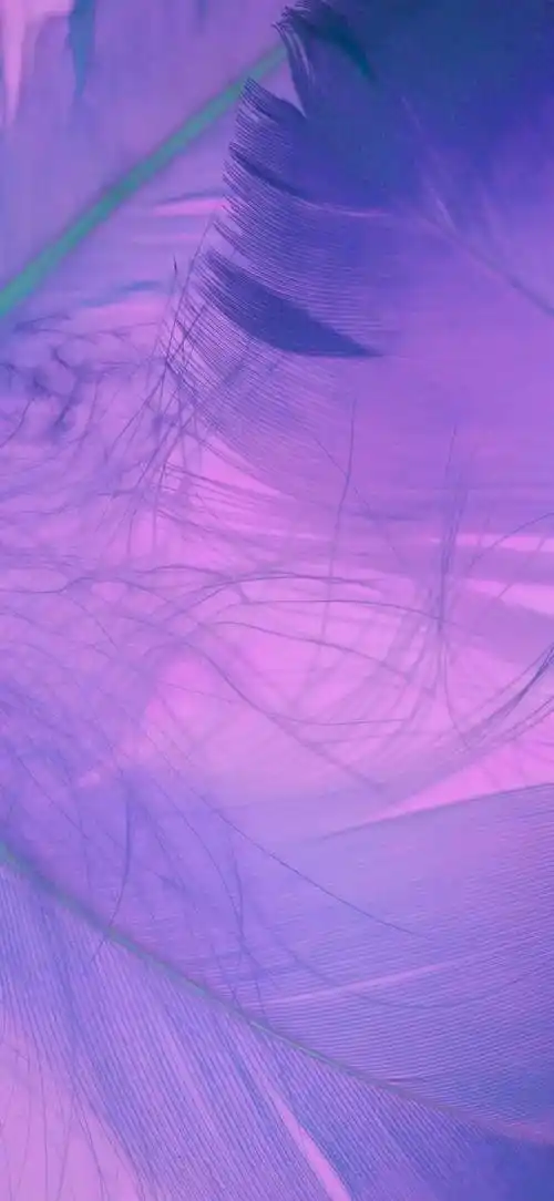 壁纸合集 | 紫色系壁纸的浪漫,谁懂?