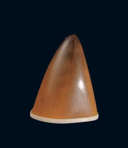 犀牛角的种类及鉴别方法_犀角