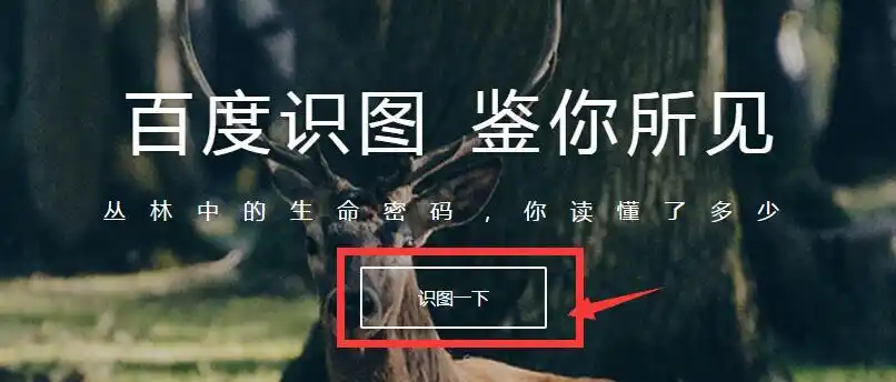 怎样扫一扫识图找网络图片 - 知晓星球