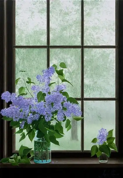 窗边看风景唯美图片