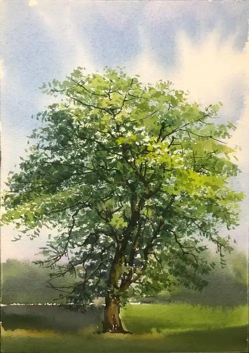 水彩风景——夏树生非花(2022 夏日里的树先生们)