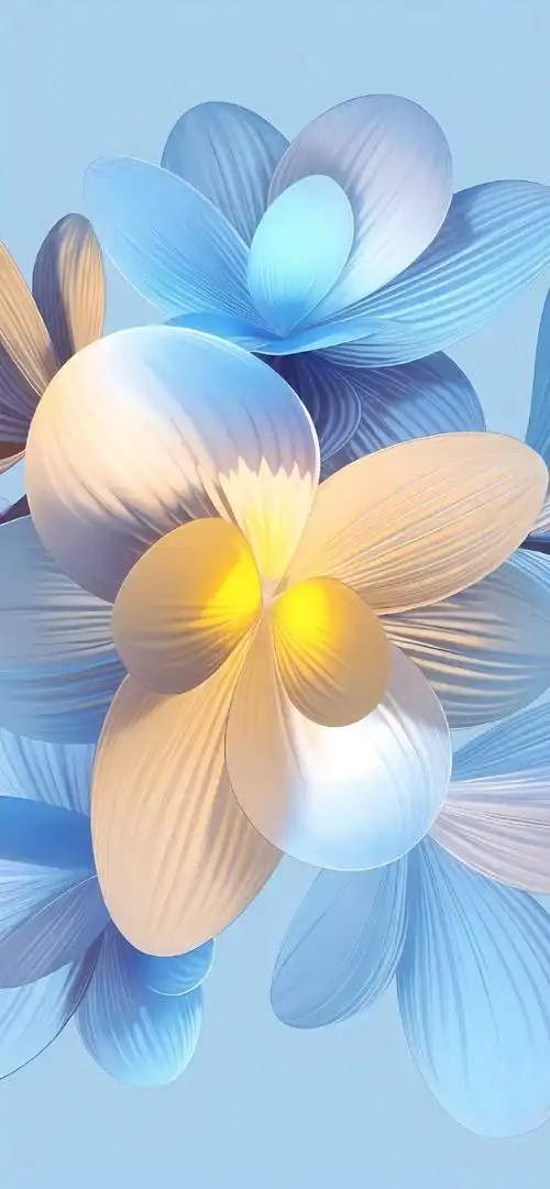 手机壁纸,高清4k墙纸