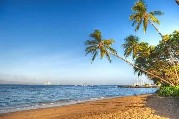 世界最美海滩排行榜10强夏威夷海滩上榜第一在澳大利亚