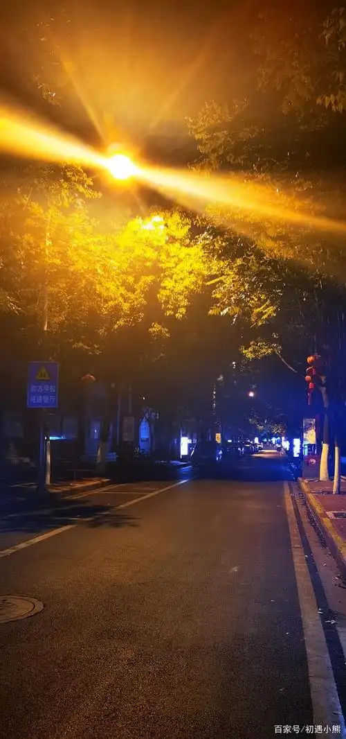 昆明印象:如果太阳太晒人,你不妨去和海鸥作伴