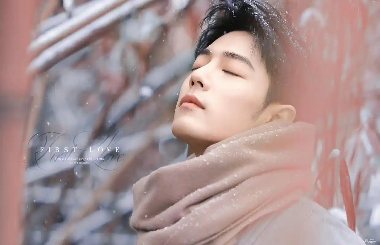 电脑壁纸更新 这个色系真是好看啊  #肖战#  cr:logo