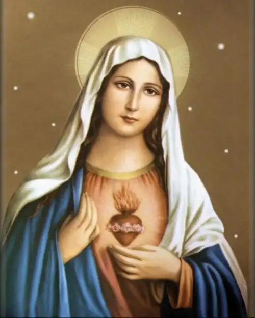 【转载】圣母的历史(组图) - 看透,一些人的日志 - 网易博客