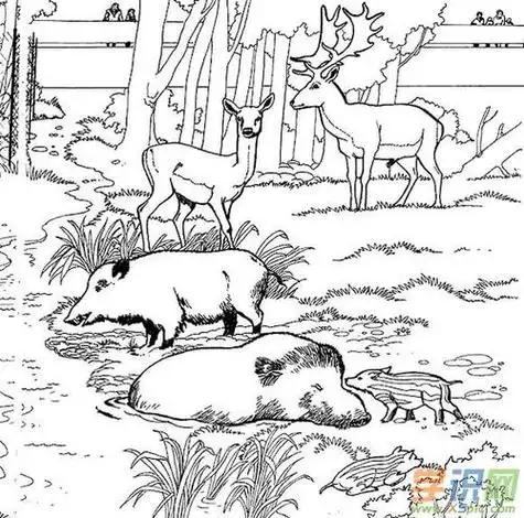 人和动物在一起简笔画