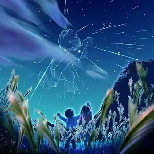 当流星划过天际最想许愿你在身边头像