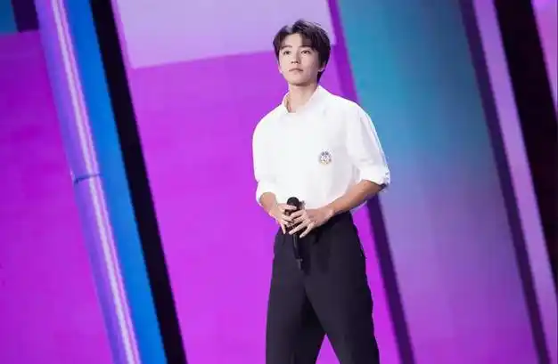 王俊凯现身蔡依林演唱会,牵手唱歌荷尔蒙爆棚,曝2点理想型标准|王源