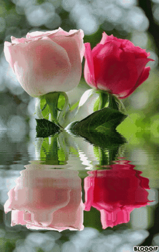 400_632竖版 竖屏gif 动态图 动图