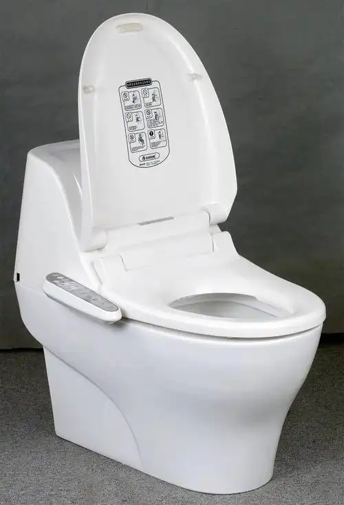 坐便器座上的由电子电路控制的包括用于清洗人体臀部等冲洗在内的器具