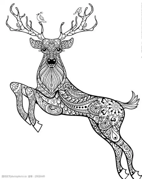 手绘线描黑白动物矢量图