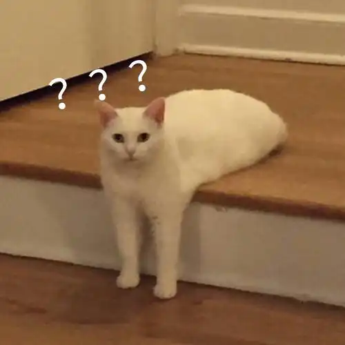 喵星人疑惑问号表情包 - 一组疑惑问号表情包