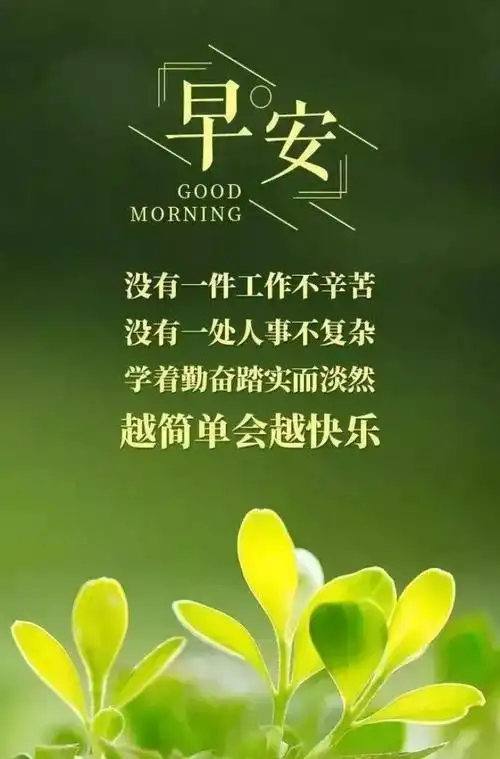 抖音励志语录(抖音很火的励志句子)