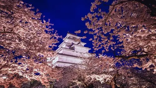 日本东京浅草寺唯美风光,名胜古迹-回车桌面