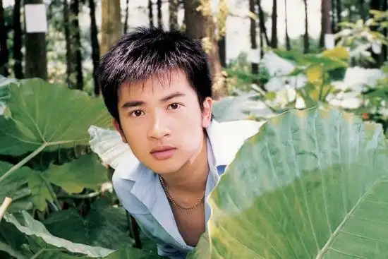 苏有朋的这种发型是怎样弄得?