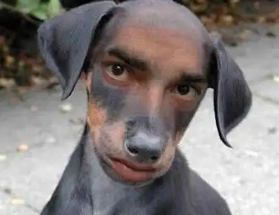 世界上最搞笑的签名2017最搞笑签名