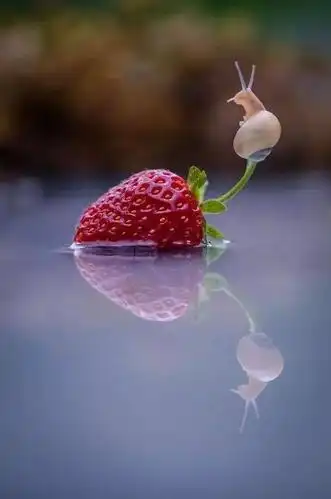 美丽相遇,惊艳世俗!