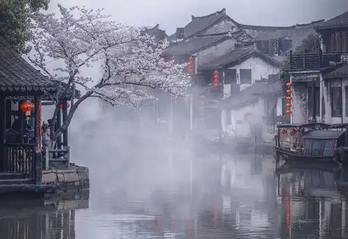 2019年,从未离开过江南