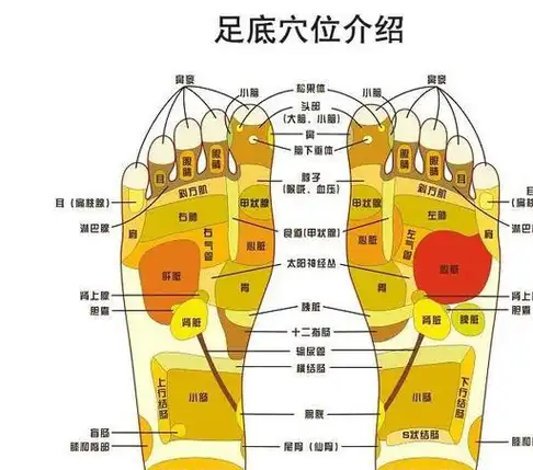 此外脚内侧的然谷穴,涌泉穴,内庭穴都是人体的"降糖穴",睡前按摩5分钟