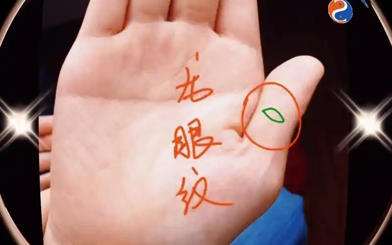 大拇指有"龙眼纹"的人必是富贵福气之人!