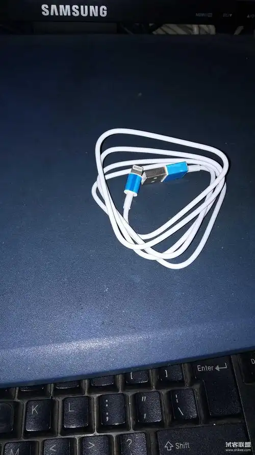 苹果耳机充电线头可用花呗信用卡-郝玉霞103