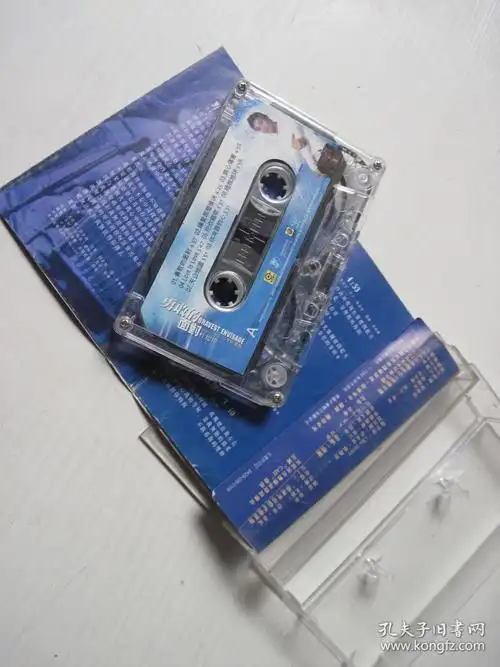 磁带:田震——野花