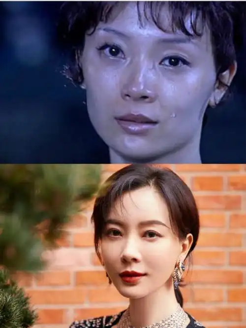 首先说说陈数极高的美商