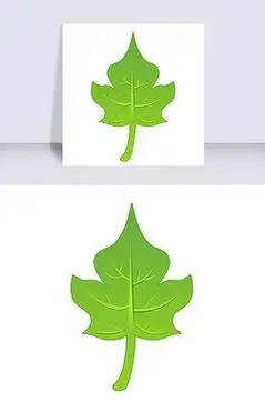 一片新鲜的叶子免抠图