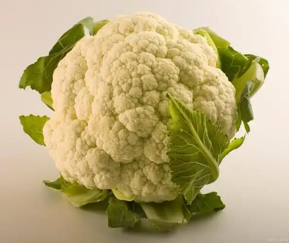 菜花是什么菜?菜花是什么菜长出来的