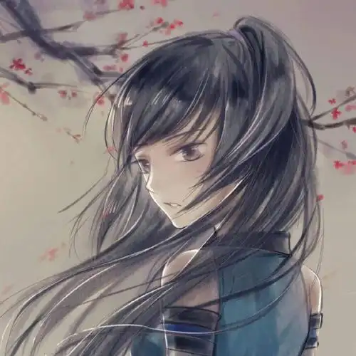 微信头像女侠风