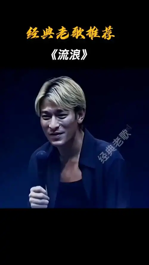 年轻时的华仔黄毛可帅了!经典老歌,百听不厌!刘德华《流浪》