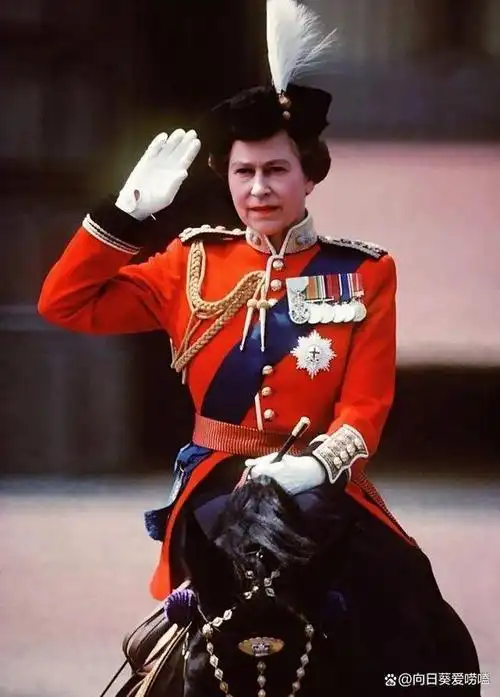 伊丽莎白女王被刺杀事件!女王生日阅兵,被连开六枪!